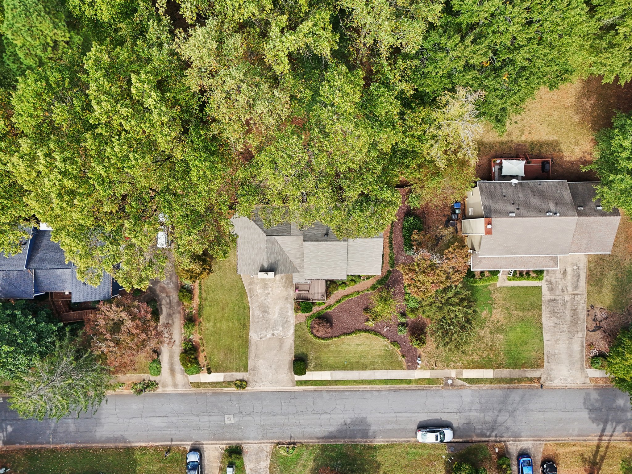 Forest Chase Dr-S2210-061.jpg