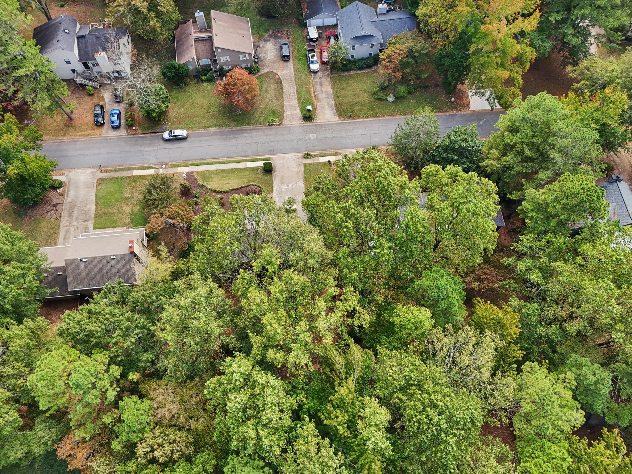 Forest Chase Dr-S2210-066.jpg