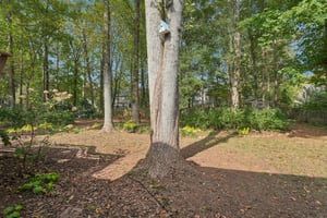 Forest Chase Dr-S2210-050.jpg