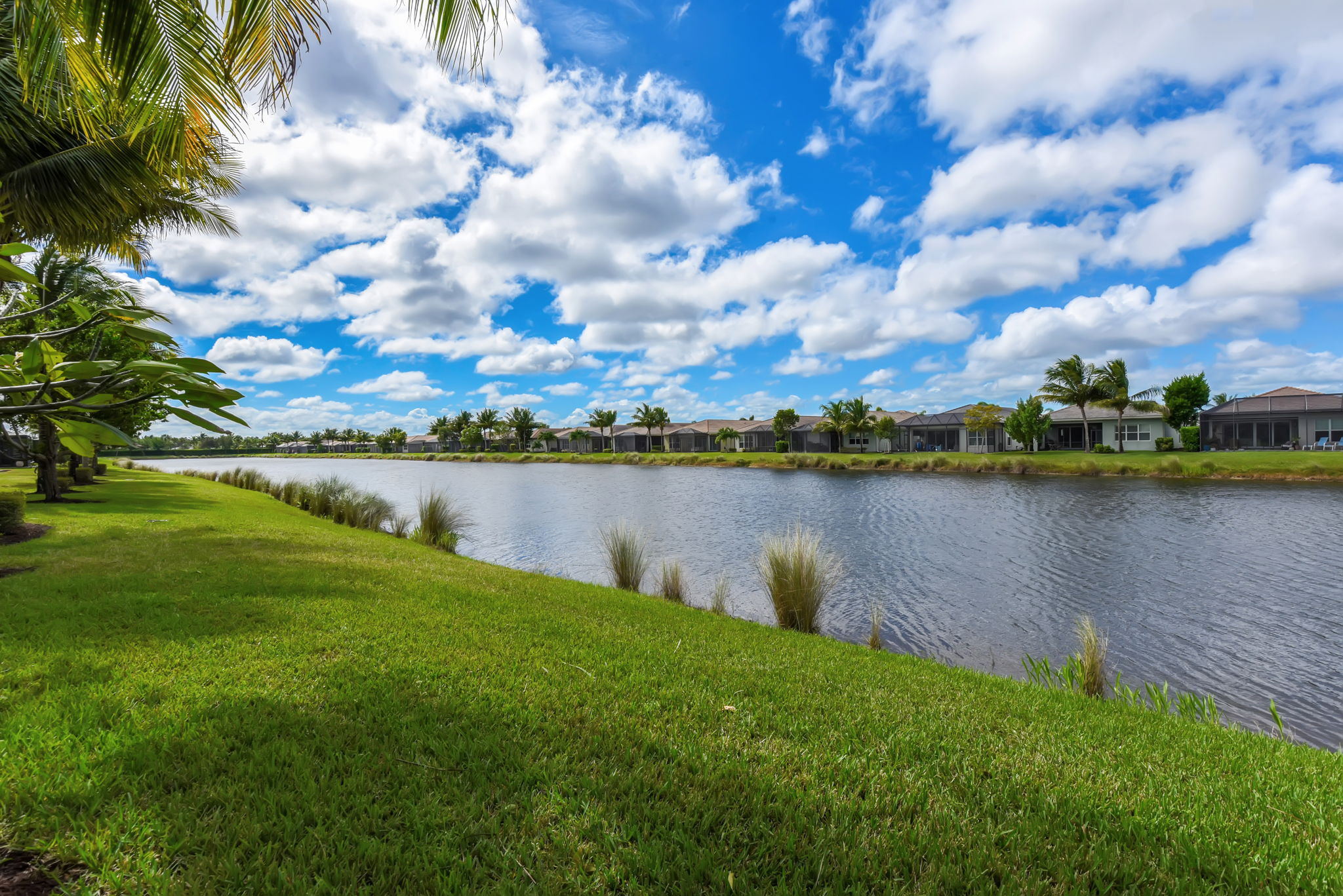 Peaceful Lake View