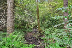 SE KW Anderson Rd-S0906-076.jpg
