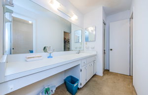Master Bathroom 1a-2