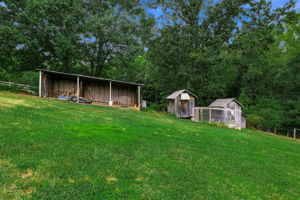  Photo 40