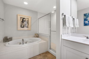 Guest Bath Tub and Shower