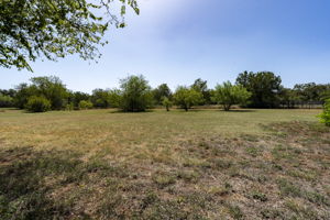 Property in the back yard is mostly flat and not wooded. Perfect for your pool oasis design.