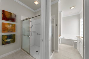  Photo 49