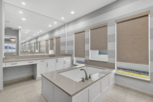 Primary Bathroom 1 of 3