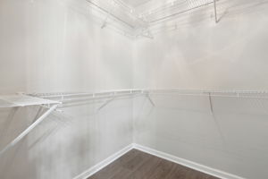 Primary Bedroom Closet