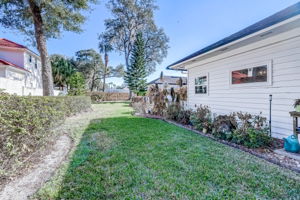 Side Yard