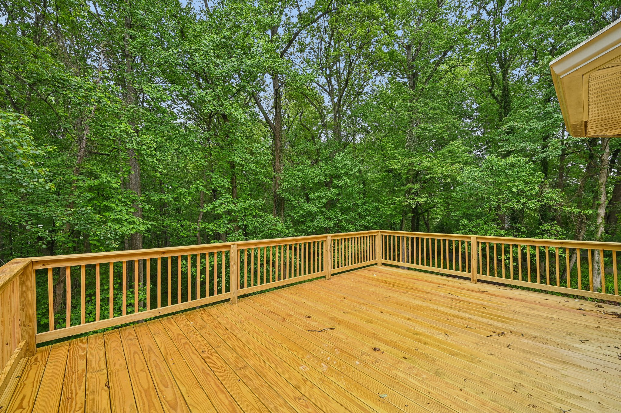 Hernwood Rd-2205-145.jpg