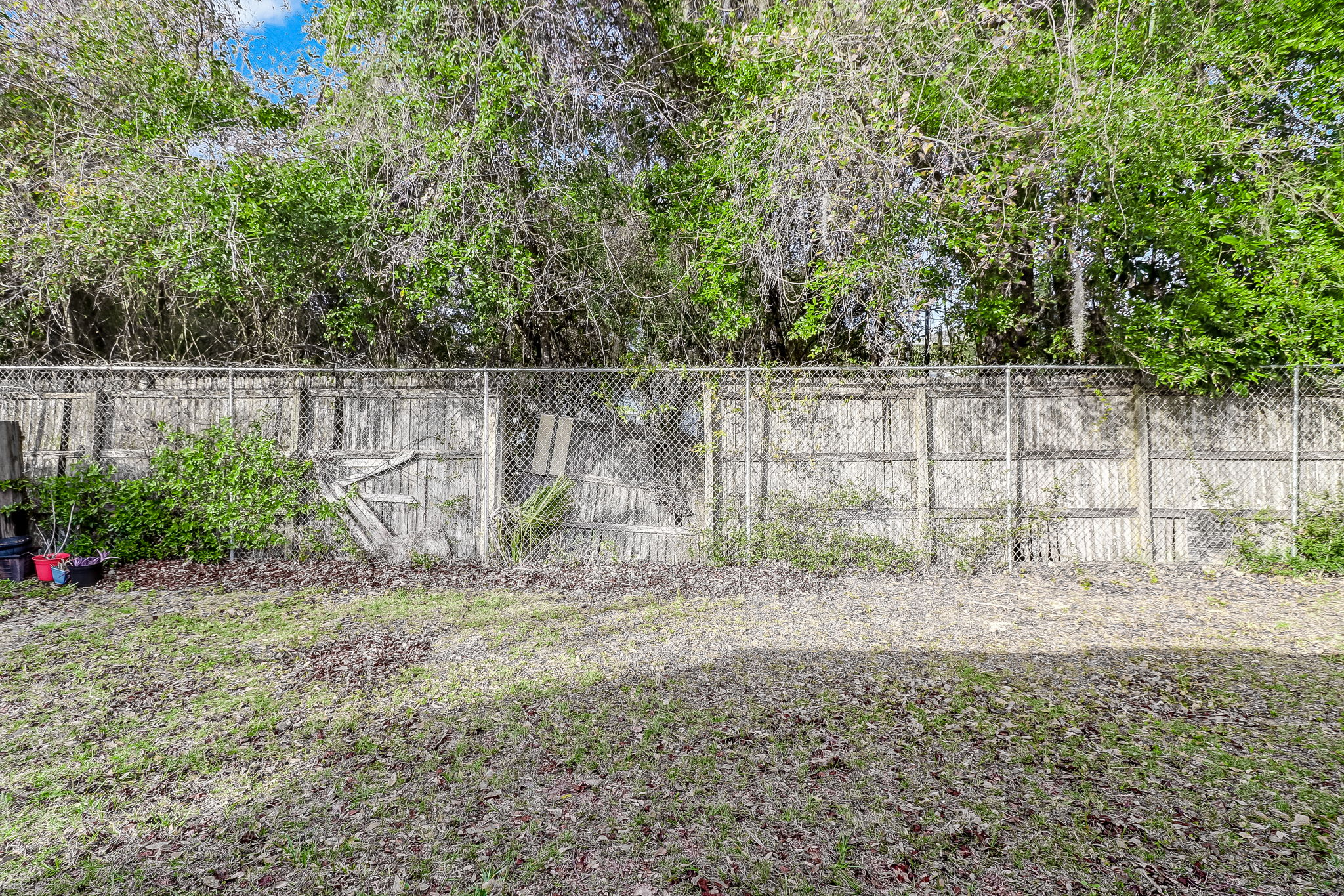 Back Yard