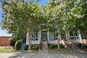 Tree-Lined Front Streetscape