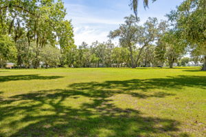 Waterman's Bluff