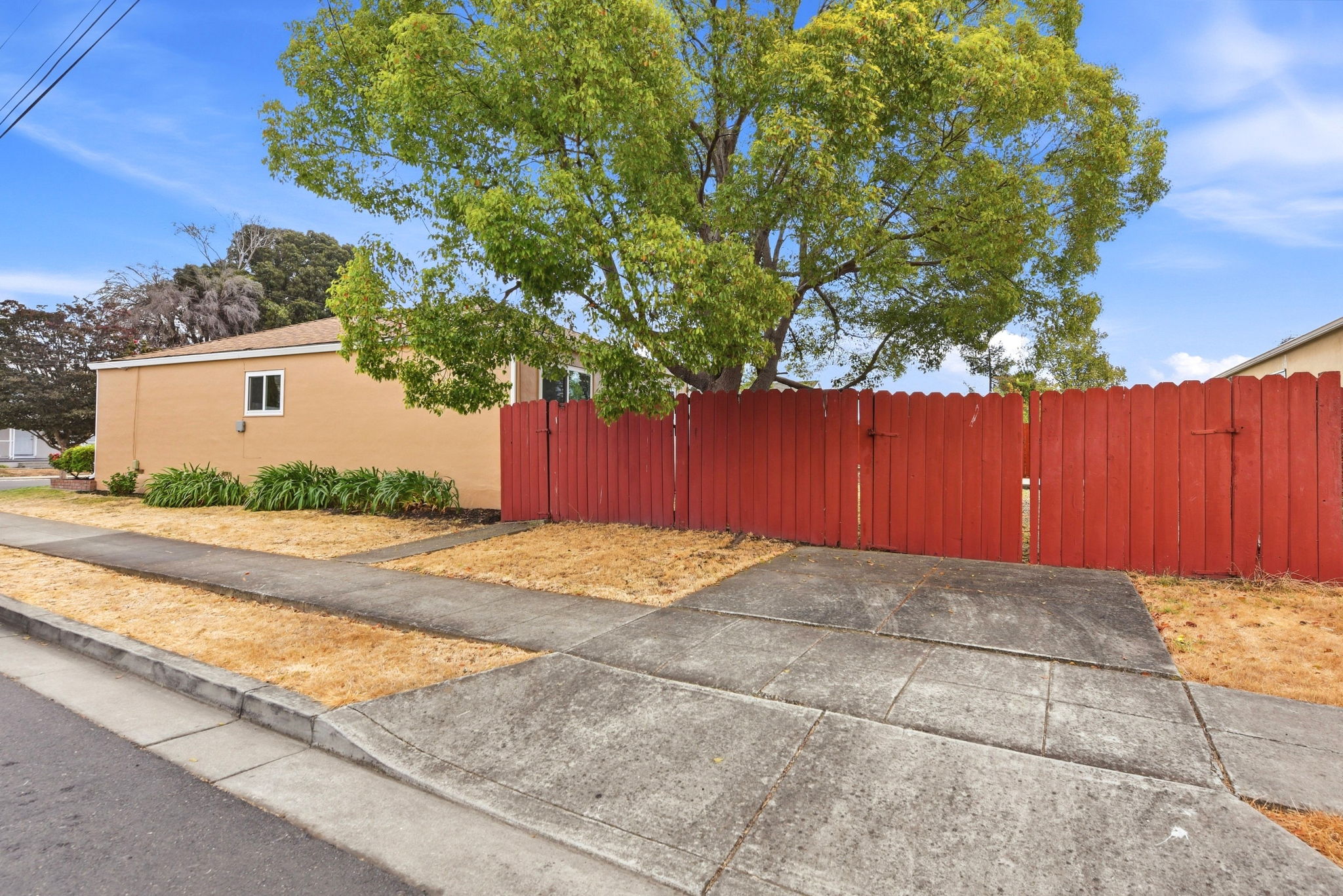  Photo 24