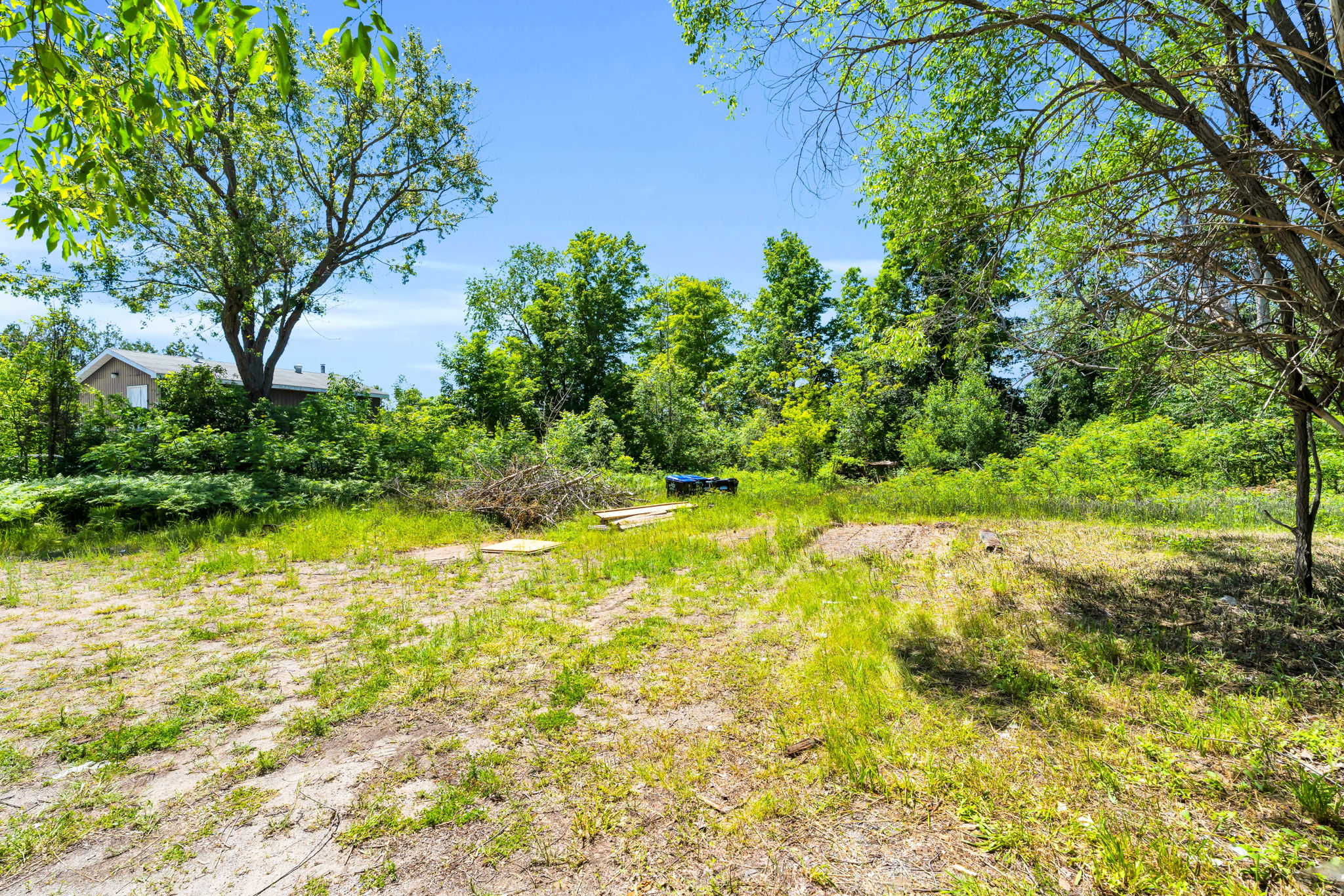 Yard