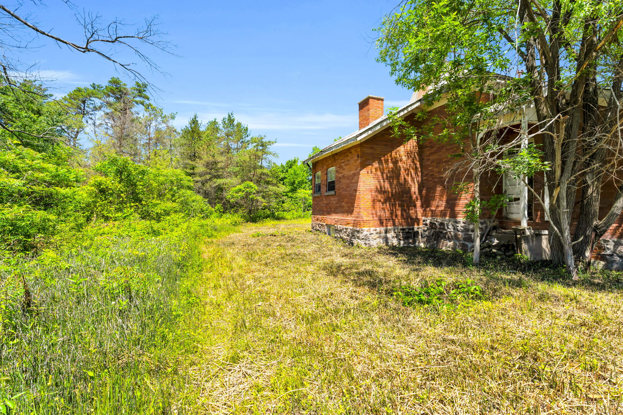 Yard