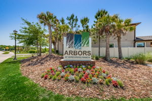 1-Arbors at Wiregrass Ranch