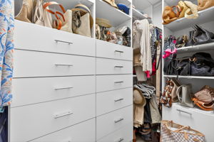 SECOND primary walk-in with built-ins! Prepare to be the envy of your friends!