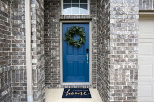 287 Firethorn Dr, Buda, TX 78610, USA Photo 4