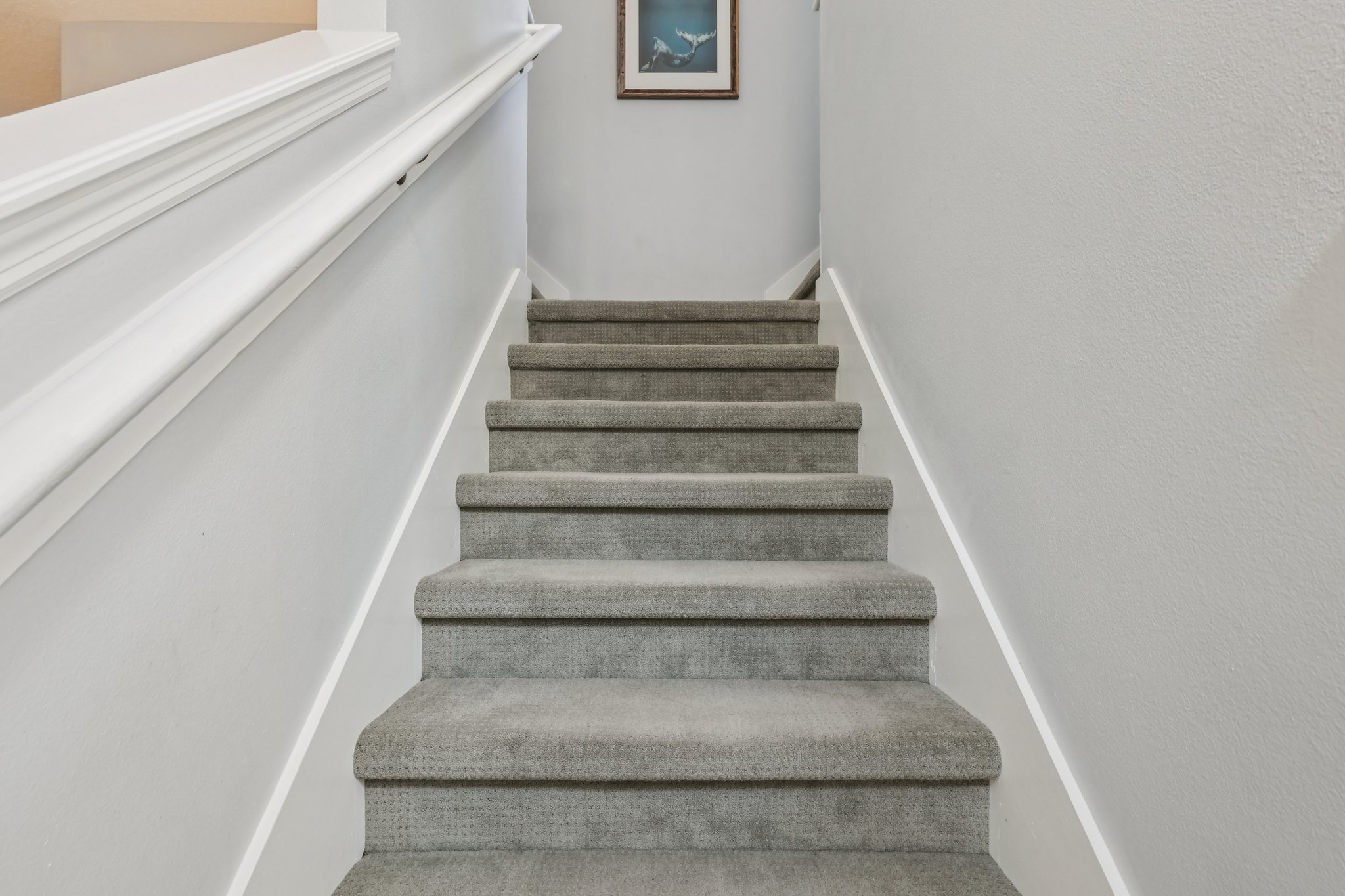 Pewter Mist Ct-L2110-024.jpg