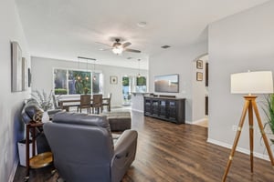 Pewter Mist Ct-L2110-008.jpg