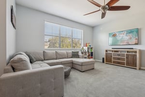 Pewter Mist Ct-L2110-026.jpg