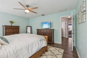 Pewter Mist Ct-L2110-033.jpg