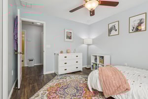 Pewter Mist Ct-L2110-038.jpg