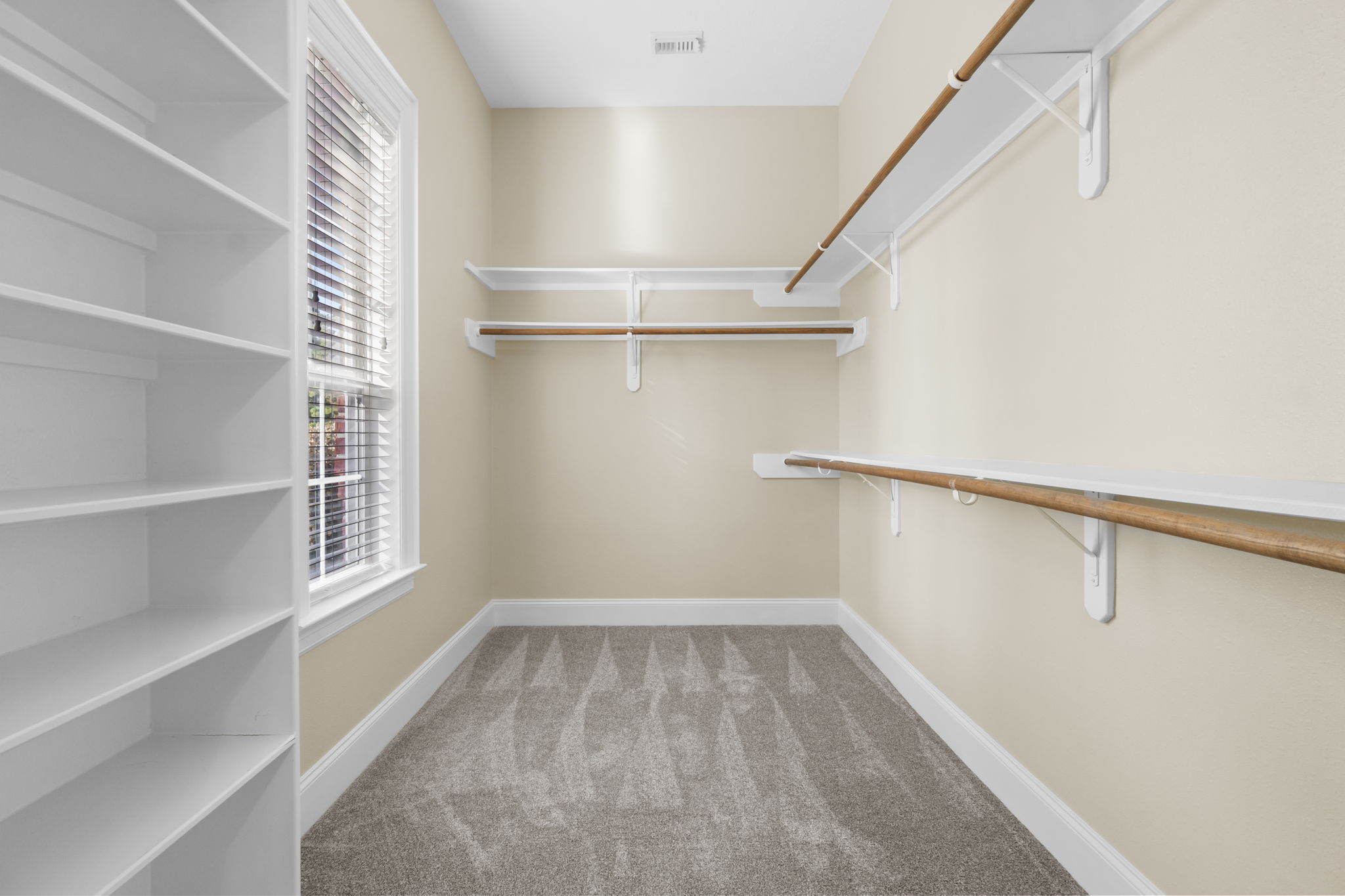 Beautiful freshly painted, new carpet huge closet