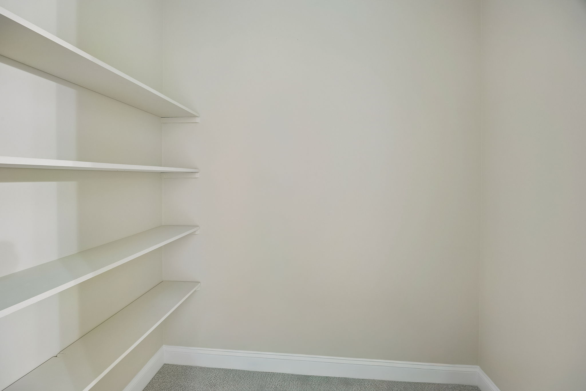 Primary Bedroom Closet
