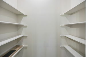 Primary Bedroom Closet