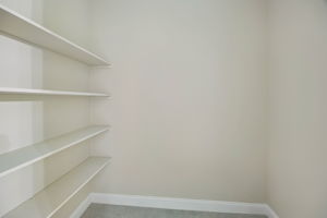 Primary Bedroom Closet