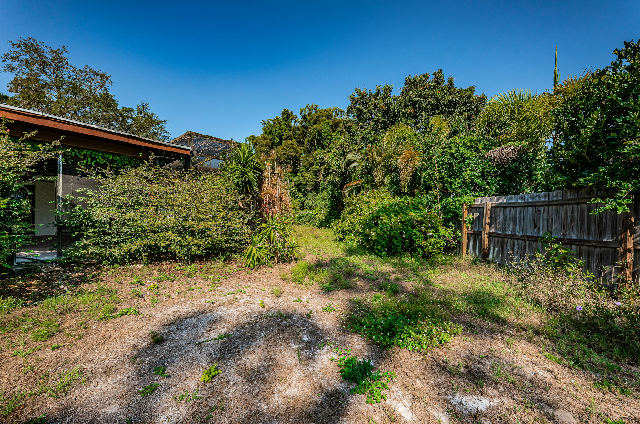 Back Exterior 3