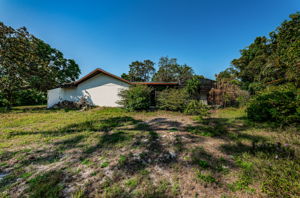 Back Exterior 2