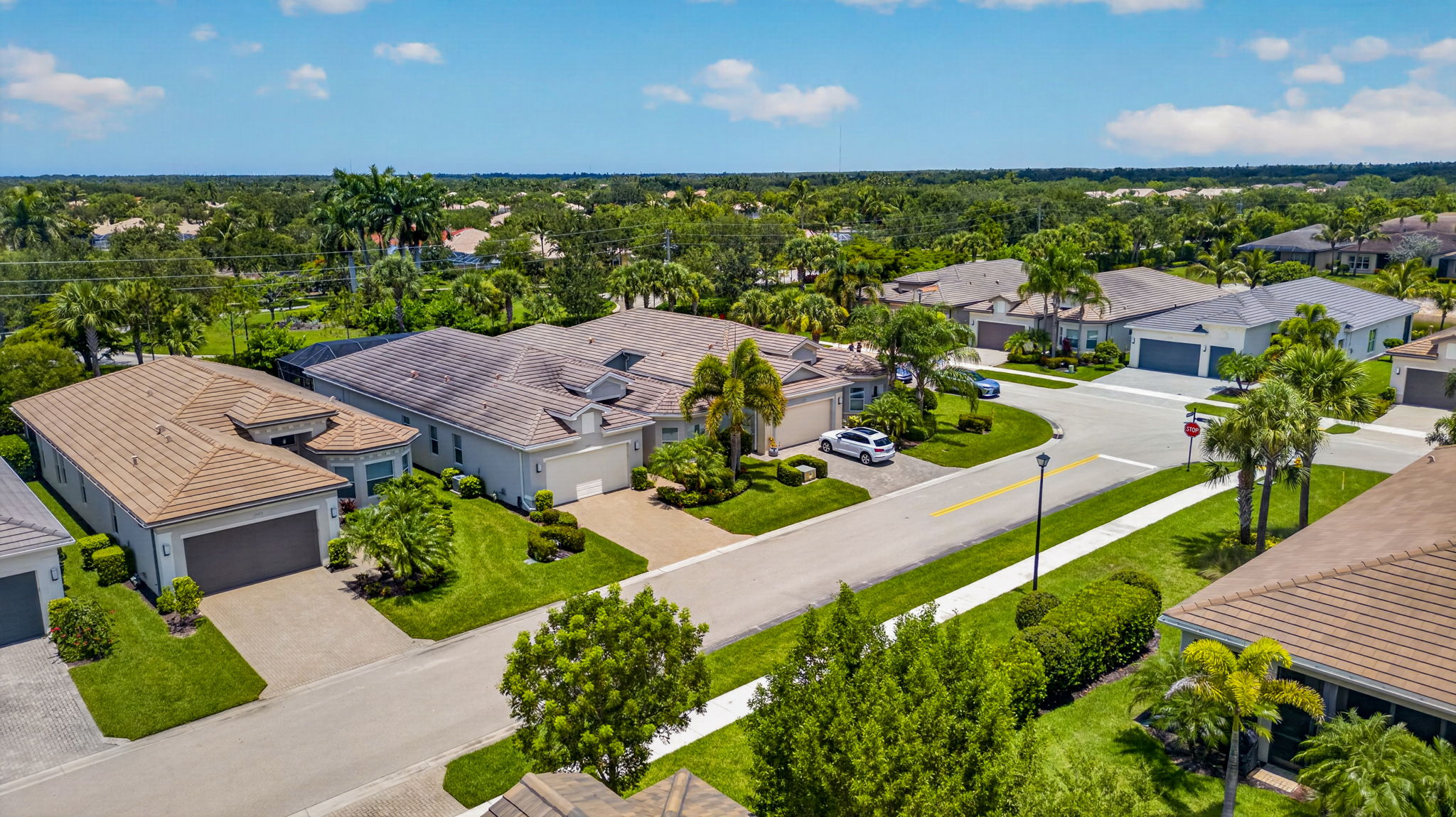 Aerial 6