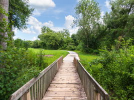  Photo 49