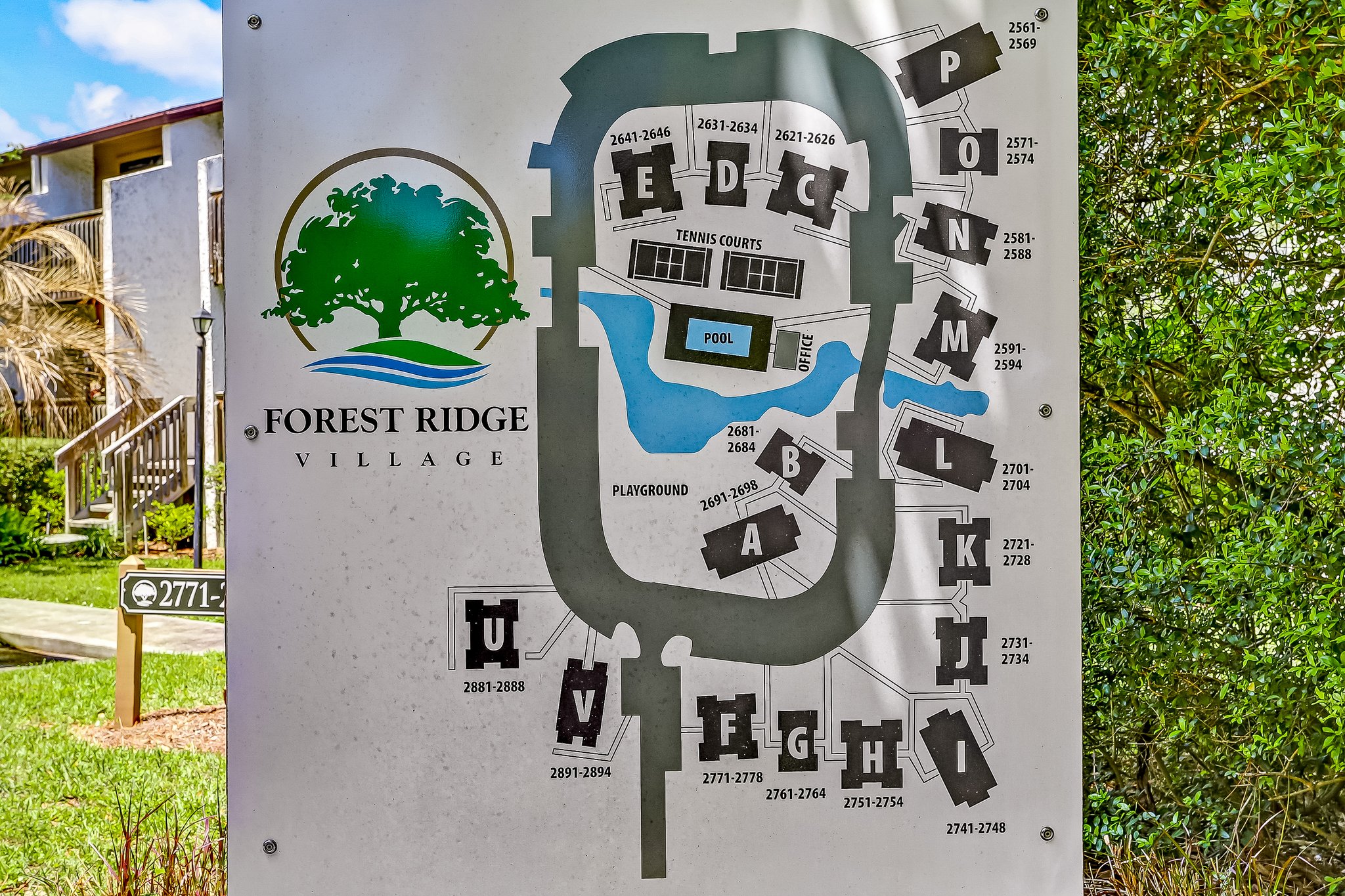 Forest Ridge