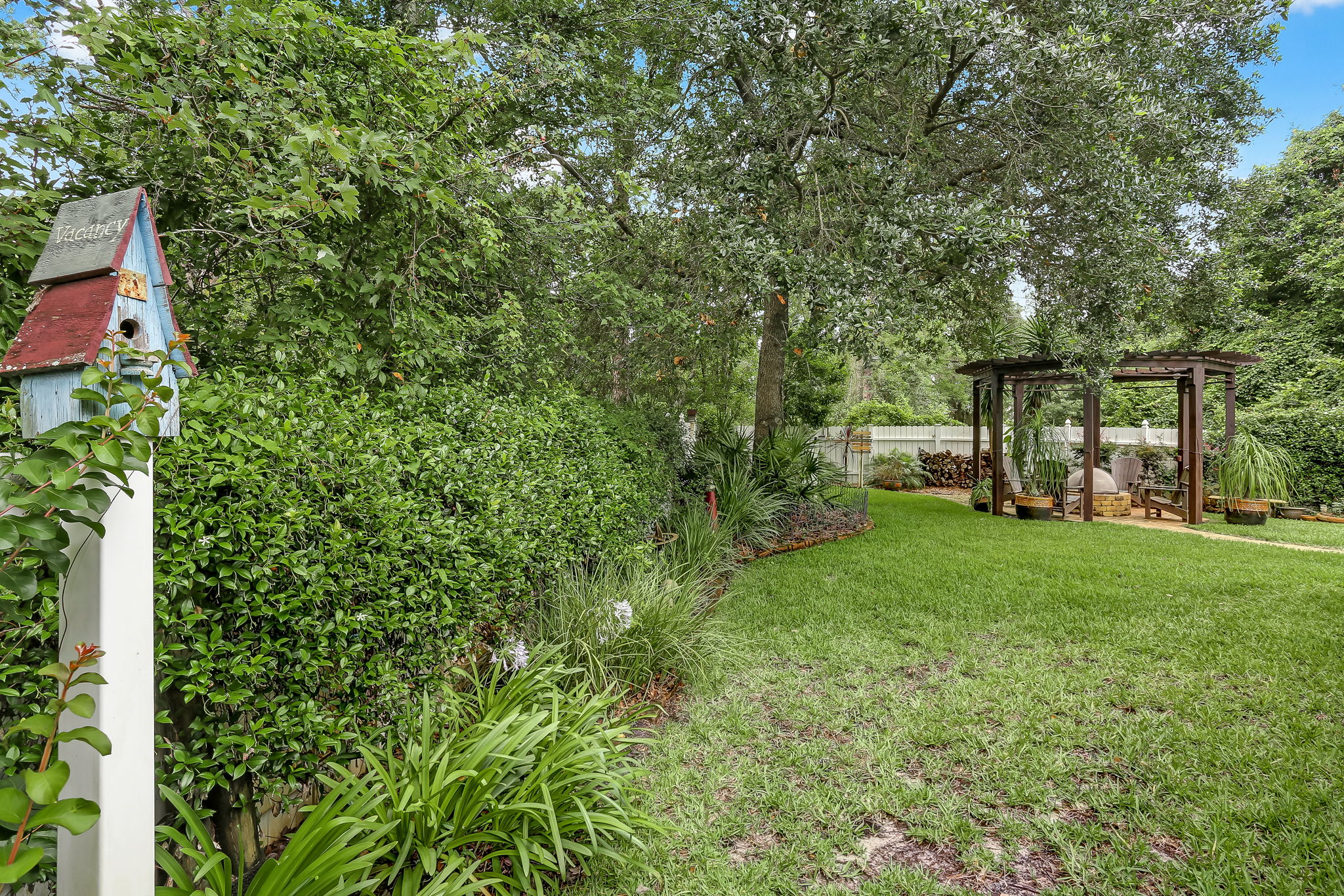 Back Yard
