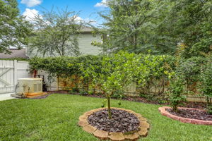 Side Yard