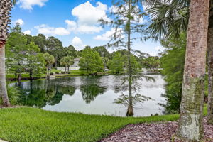Landyn's Lake