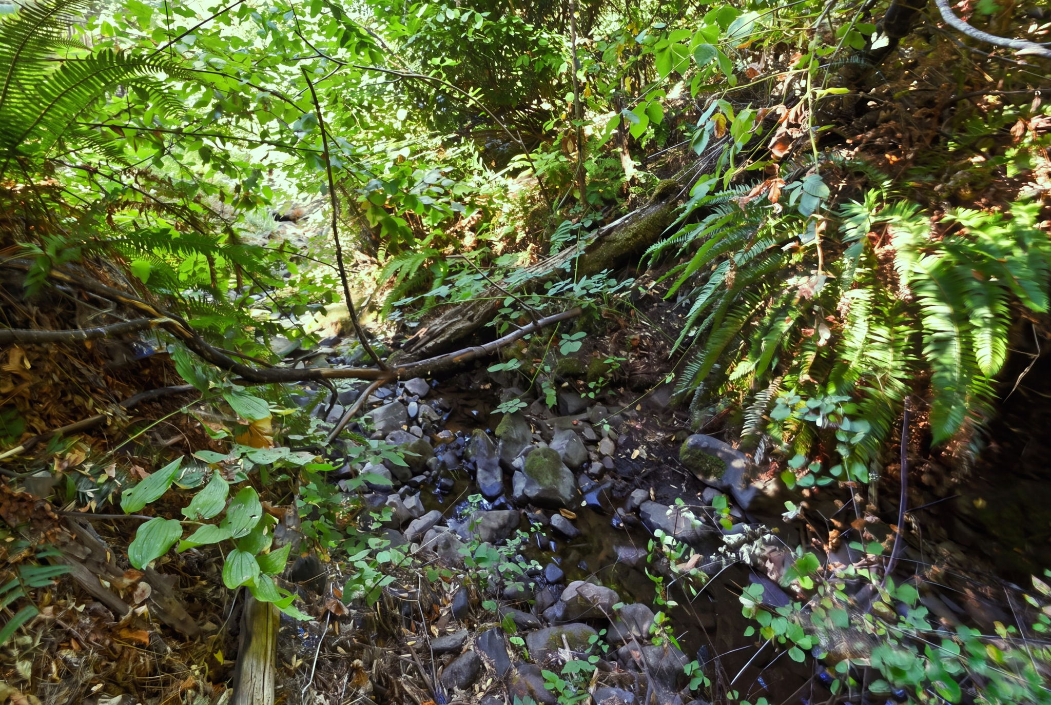  Photo 47