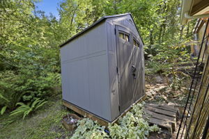  Photo 44