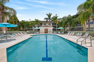 Amenity Pool 2