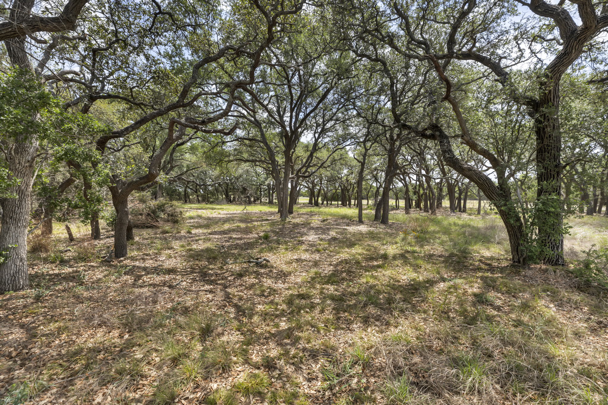 2888 Cedar Hollow Rd, Georgetown, TX 78628, USA Photo 2