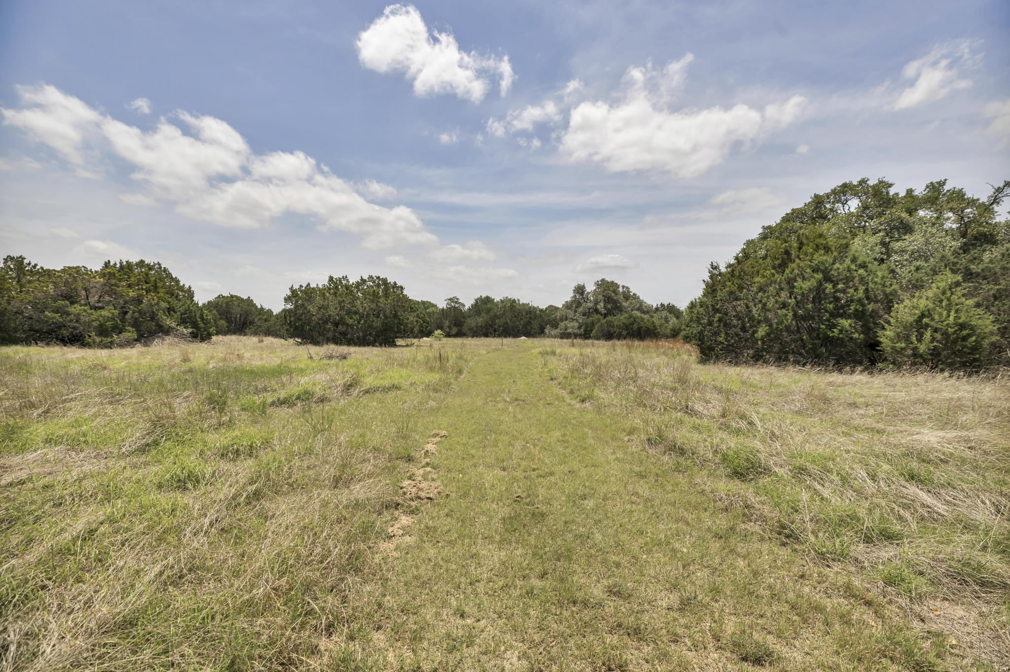 2888 Cedar Hollow Rd, Georgetown, TX 78628, USA Photo 18