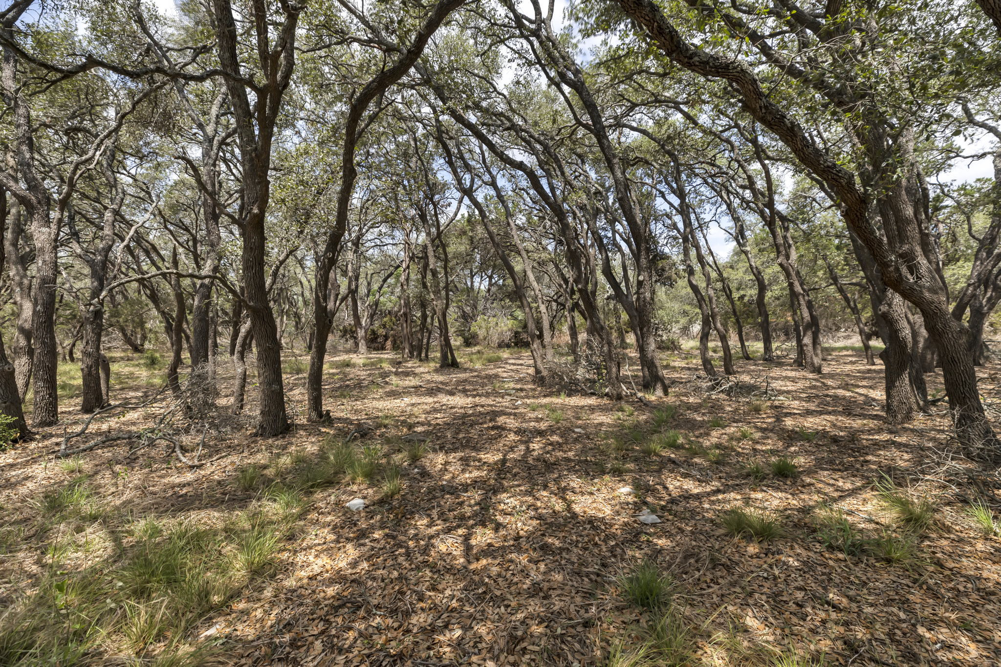 2888 Cedar Hollow Rd, Georgetown, TX 78628, USA Photo 5