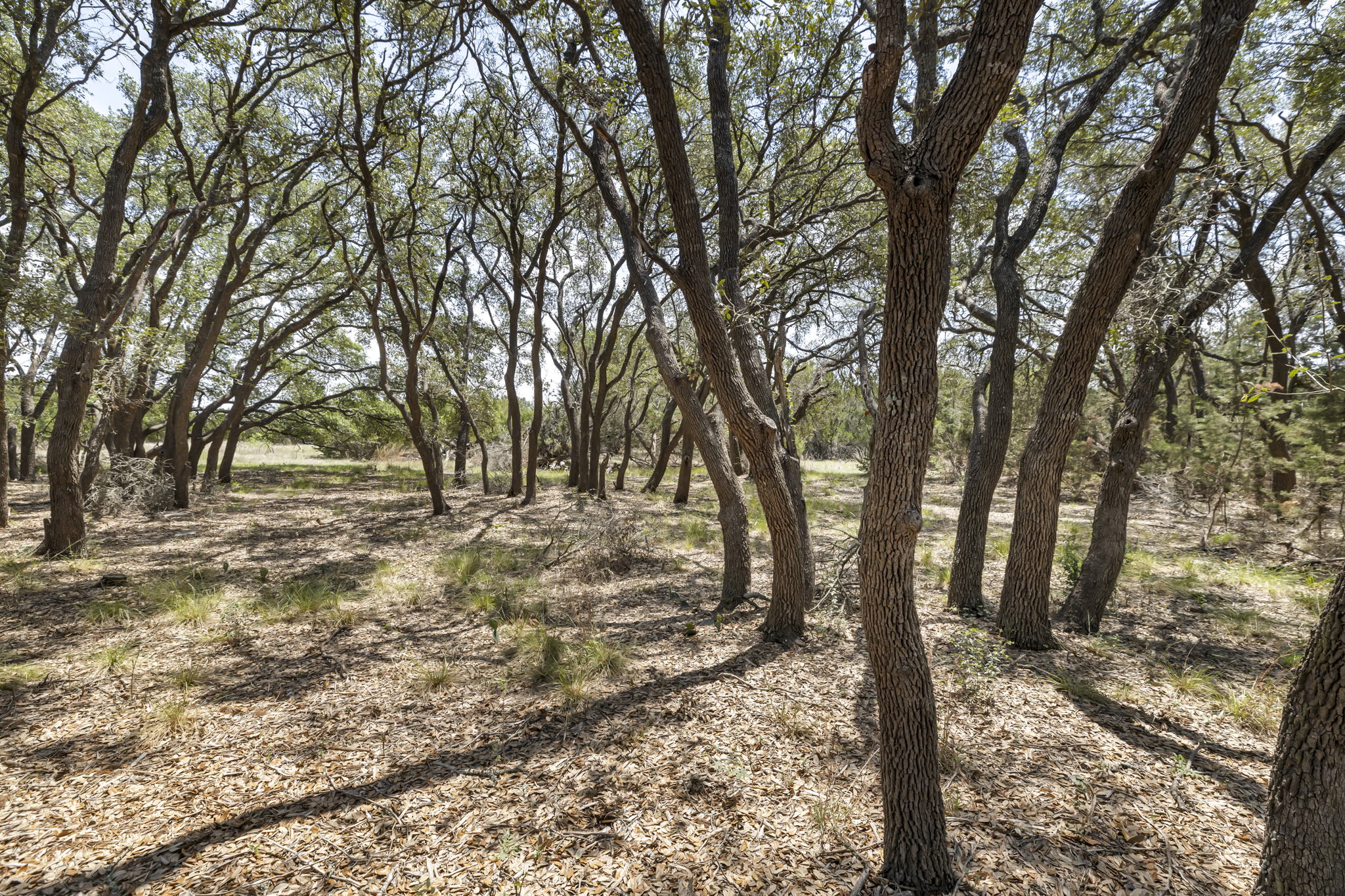2888 Cedar Hollow Rd, Georgetown, TX 78628, USA Photo 23