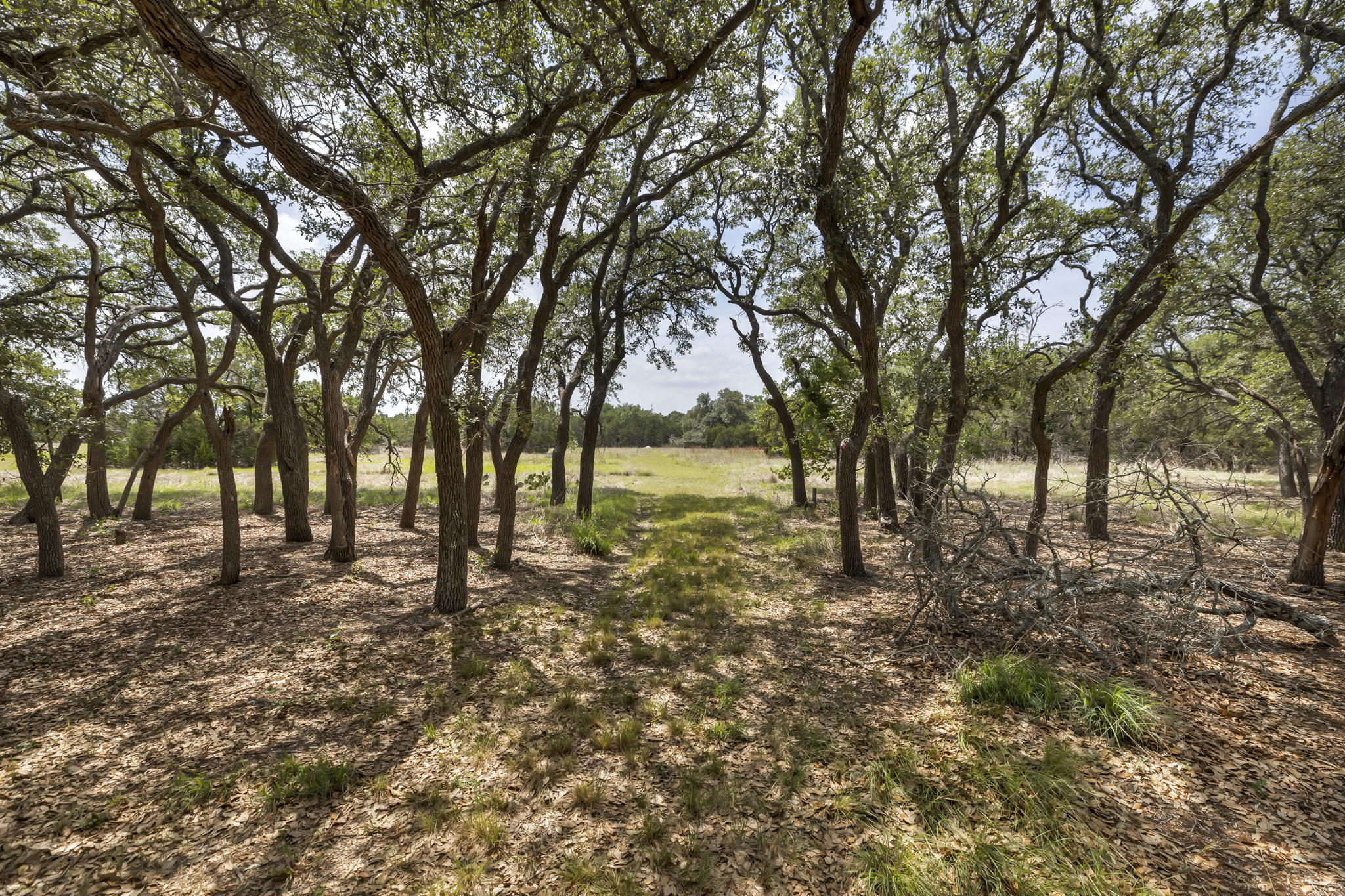 2888 Cedar Hollow Rd, Georgetown, TX 78628, USA Photo 3
