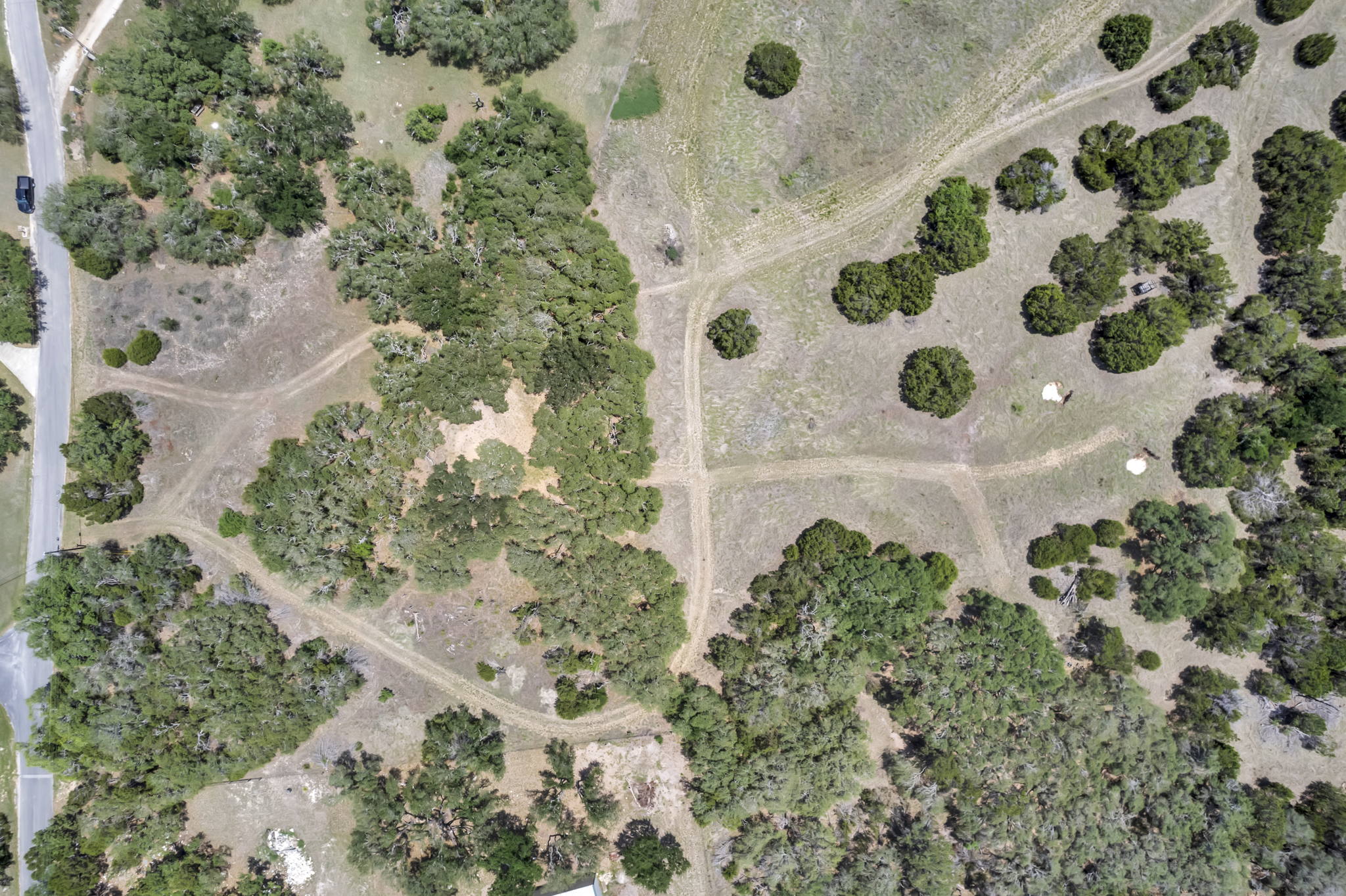 2888 Cedar Hollow Rd, Georgetown, TX 78628, USA Photo 36