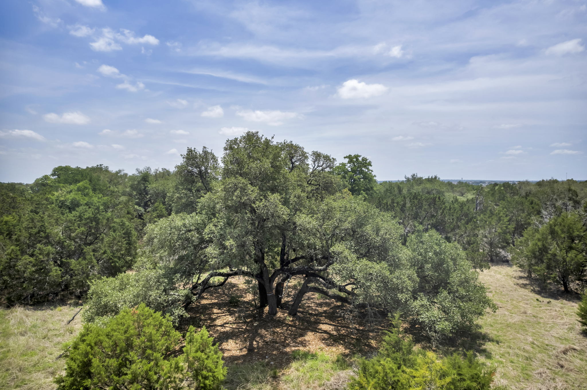 2888 Cedar Hollow Rd, Georgetown, TX 78628, USA Photo 34